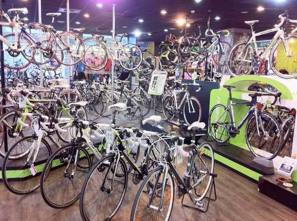 Busseto: razzia al Green Bike, bottino da 40 mila euro in bici da corsa