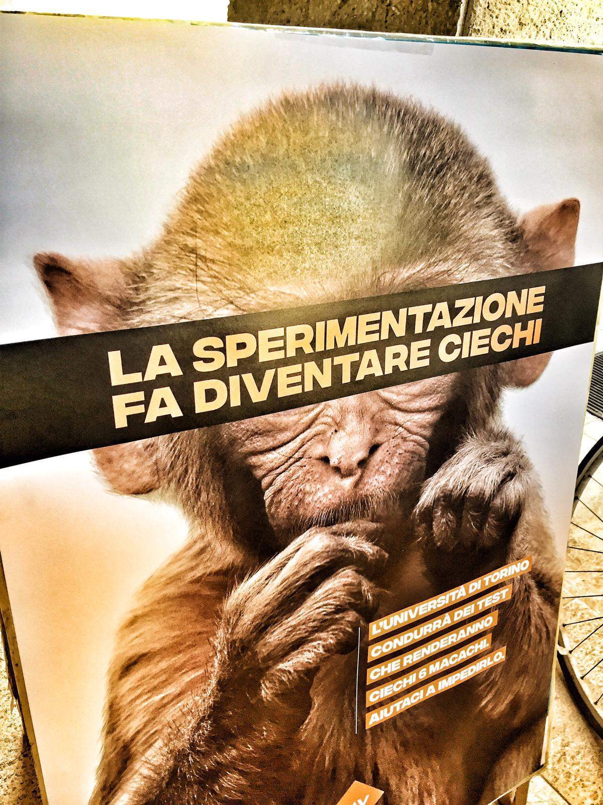 Salviamo i macachi: il banchetto in piazza – FOTO