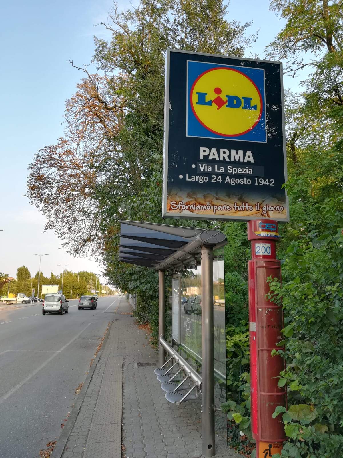 San Pancrazio: rami pericolanti sulla pensilina del bus – FOTO