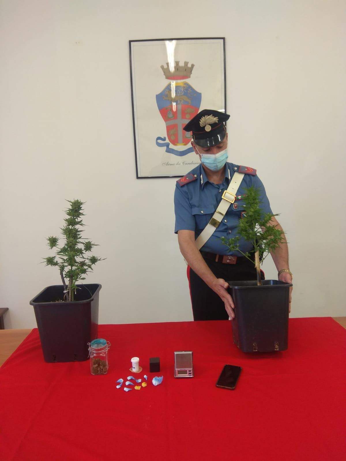 Cocaina e materiale per il confezionamento nel forno del retrobottega: arrestato 42enne