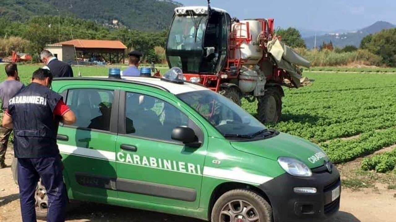Utilizzo eccessivo dei pesticidi in agricoltura: multe per oltre 12mila euro