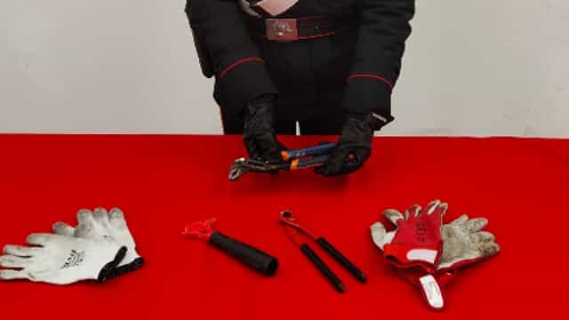 Sorpreso a rubare nel chiosco del parco Bizzozzero: denunciato 30enne
