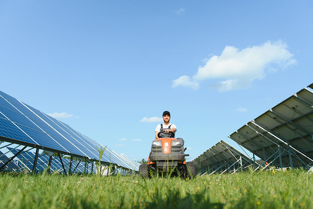 L’agrivoltaico: quando l’innovazione energetica incontra la tradizione agricola