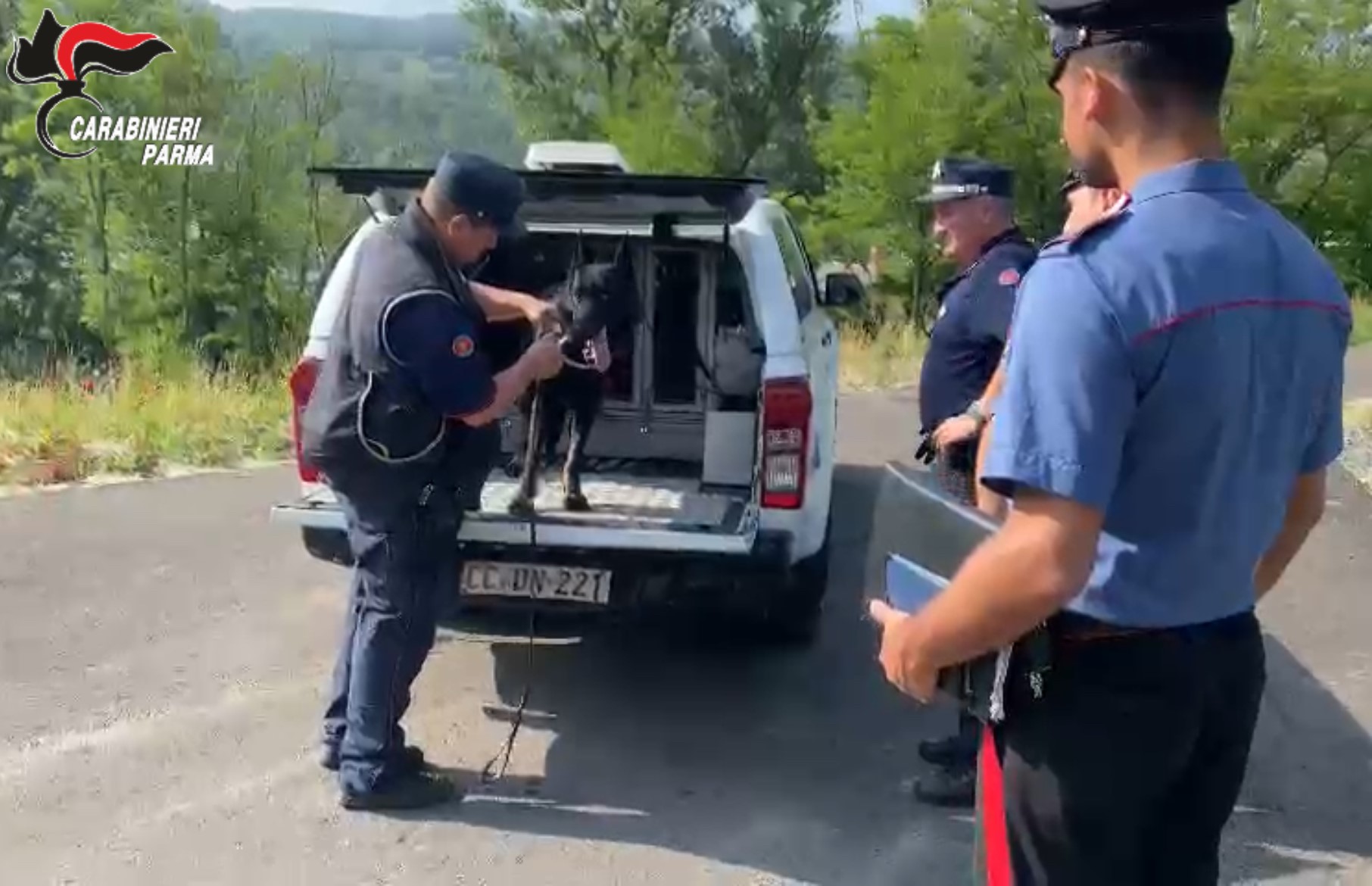 Lotta ai bocconi avvelenati: controlli nei parchi