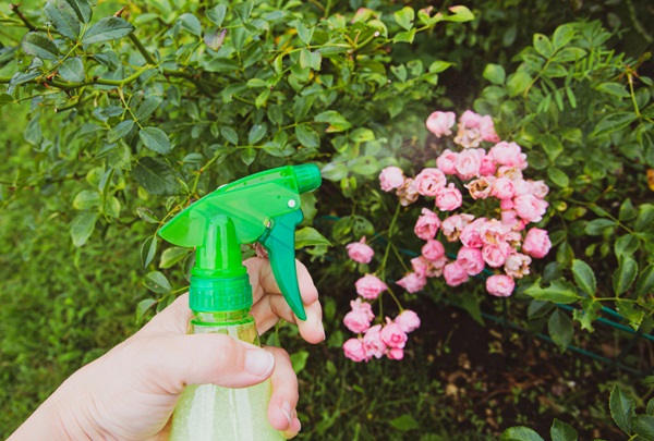 Spruzzini per piante: strumenti indispensabili per curare giardini e terrazzi fioriti