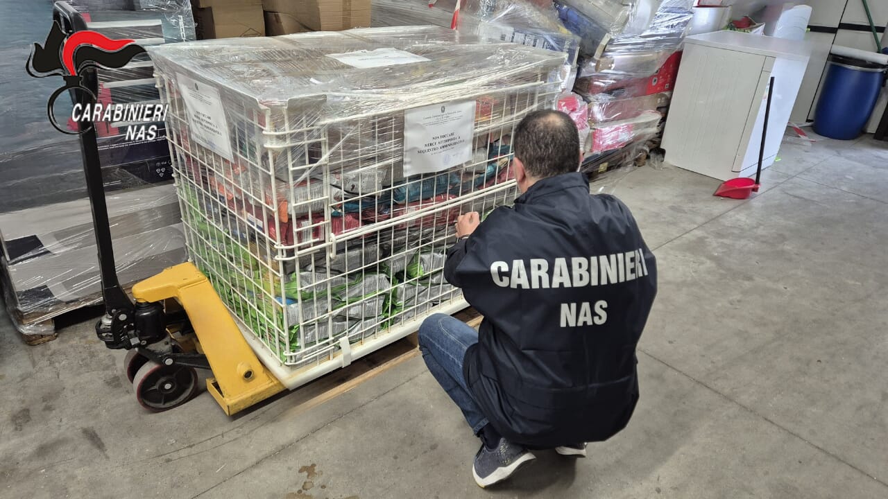 Cibo per animali scaduto e giocattoli pericolosi: sequestri nella Bassa Parmense