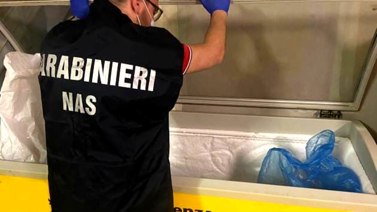 Blitz del NAS in un fast food etnico: sequestrati 25 kg di kebab e multa da 2.000 euro