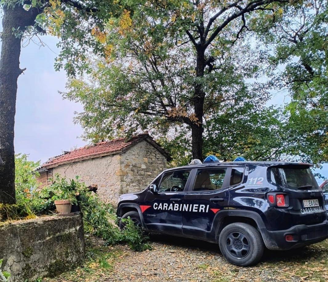 Tragedia a Solignano: 64enne cade mentre pota un albero e muore
