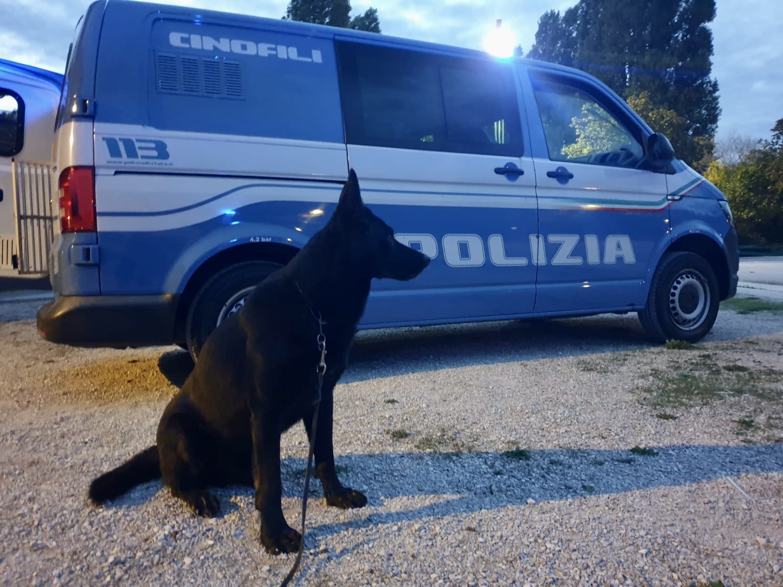 Operazione “Alto Impatto”: controlli intensificati, 7 arresti e denunce in una settimana