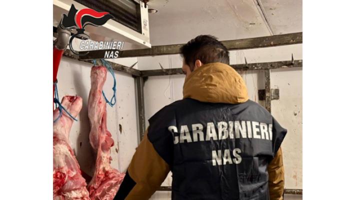 Controlli del Nas in una macelleria della pedemontana: sequestrati 1.450 kg di carne. Valore: 27mila euro
