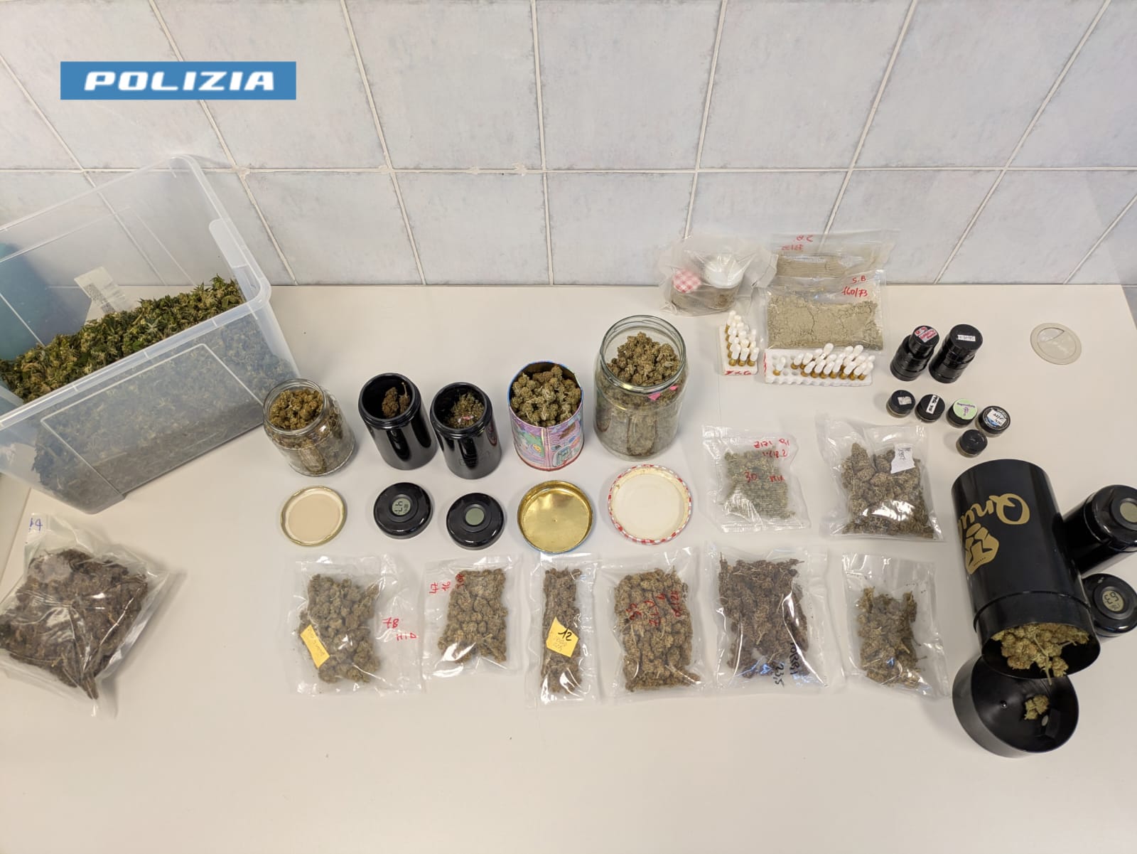 Colorno – In un vivaio… il laboratorio della droga