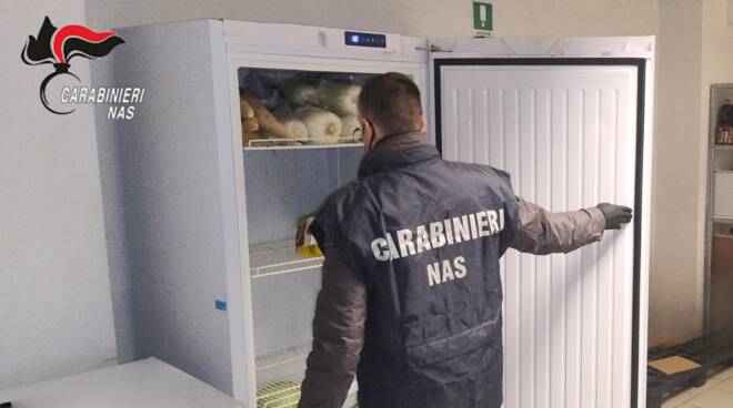 Pasta contaminata da insetti: maxi sequestro del Nas nella Bassa Reggiana