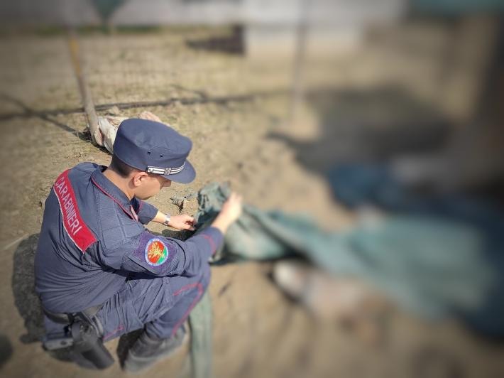 Il cimitero degli innocenti: 40 carcasse e animali agonizzanti nella “fattoria degli orrori”