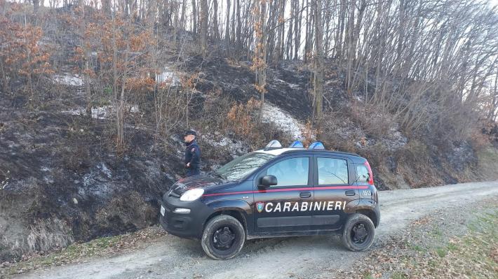 Brucia residui vegetali provocando un incendio nel bosco a Neviano: denunciato