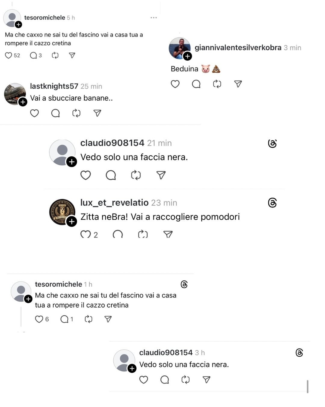 “Solidarietà alla consigliera per gli insulti razzisti. Ma la solidarietà non può essere a senso unico”
