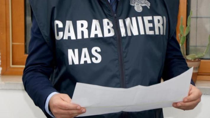 Insetti volanti nelle cucine di una struttura per anziani: 1000 euro di multa
