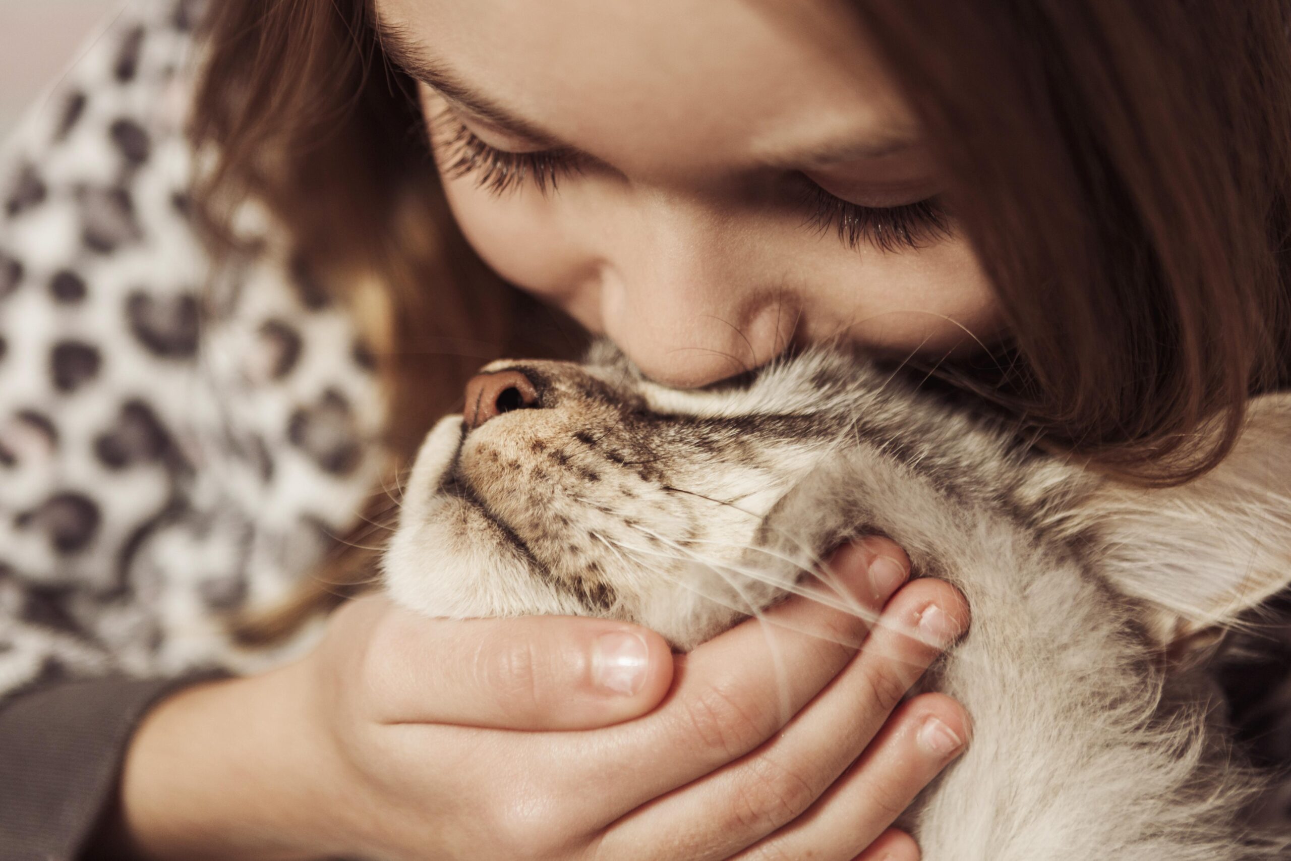 Pet care moderno: come sta cambiando il modo di prendersi cura degli animali domestici