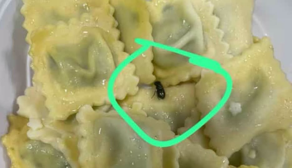 Centro Ustioni: “Scarafaggi nel cibo per i pazienti e nelle stanze di degenza”