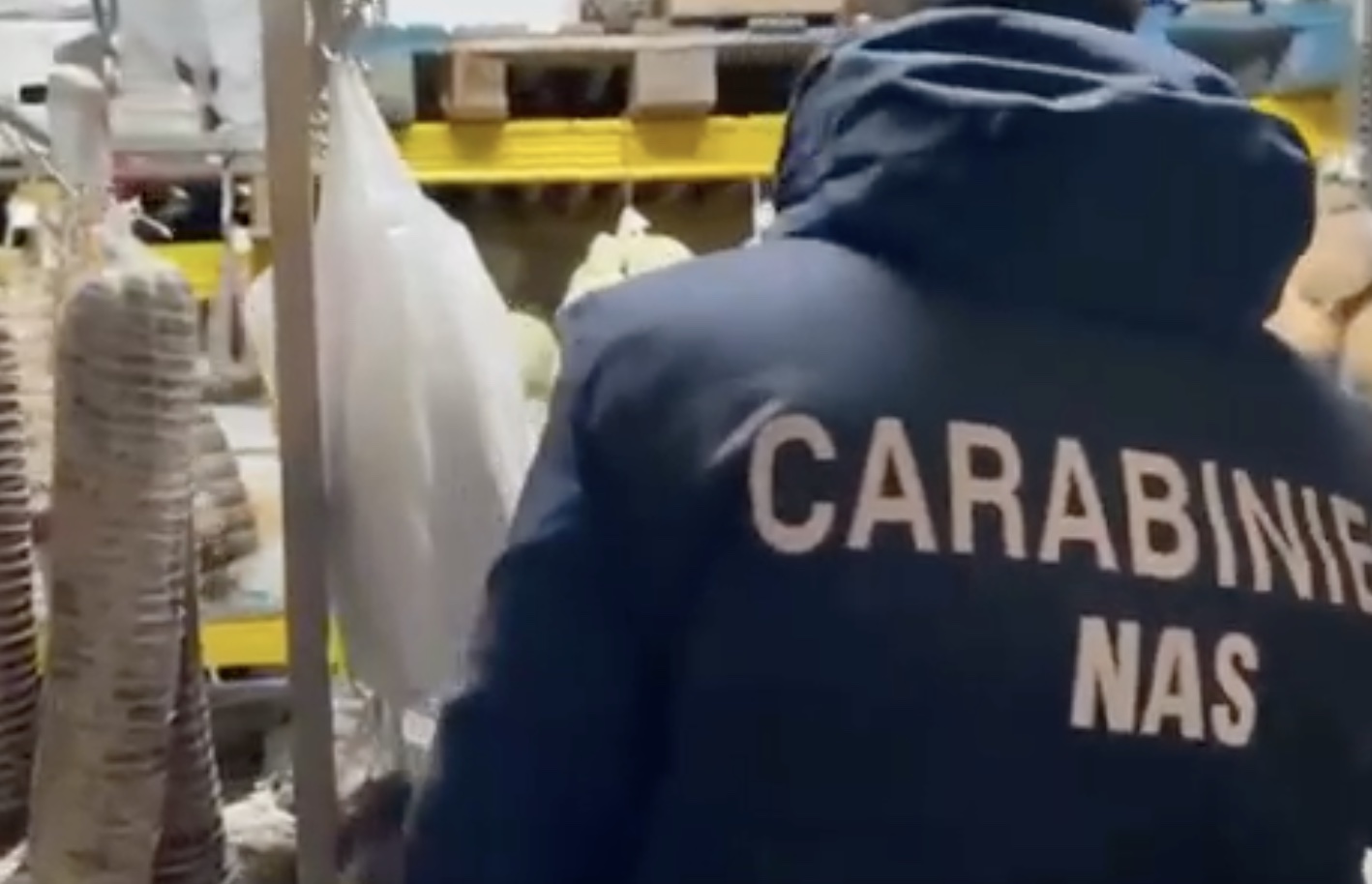 Insetti, scarafaggi e cibo scaduto: chiuso ristorante nella Bassa