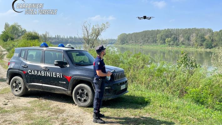 “Disbosca” per procurarsi la legna multato per 10.600 euro