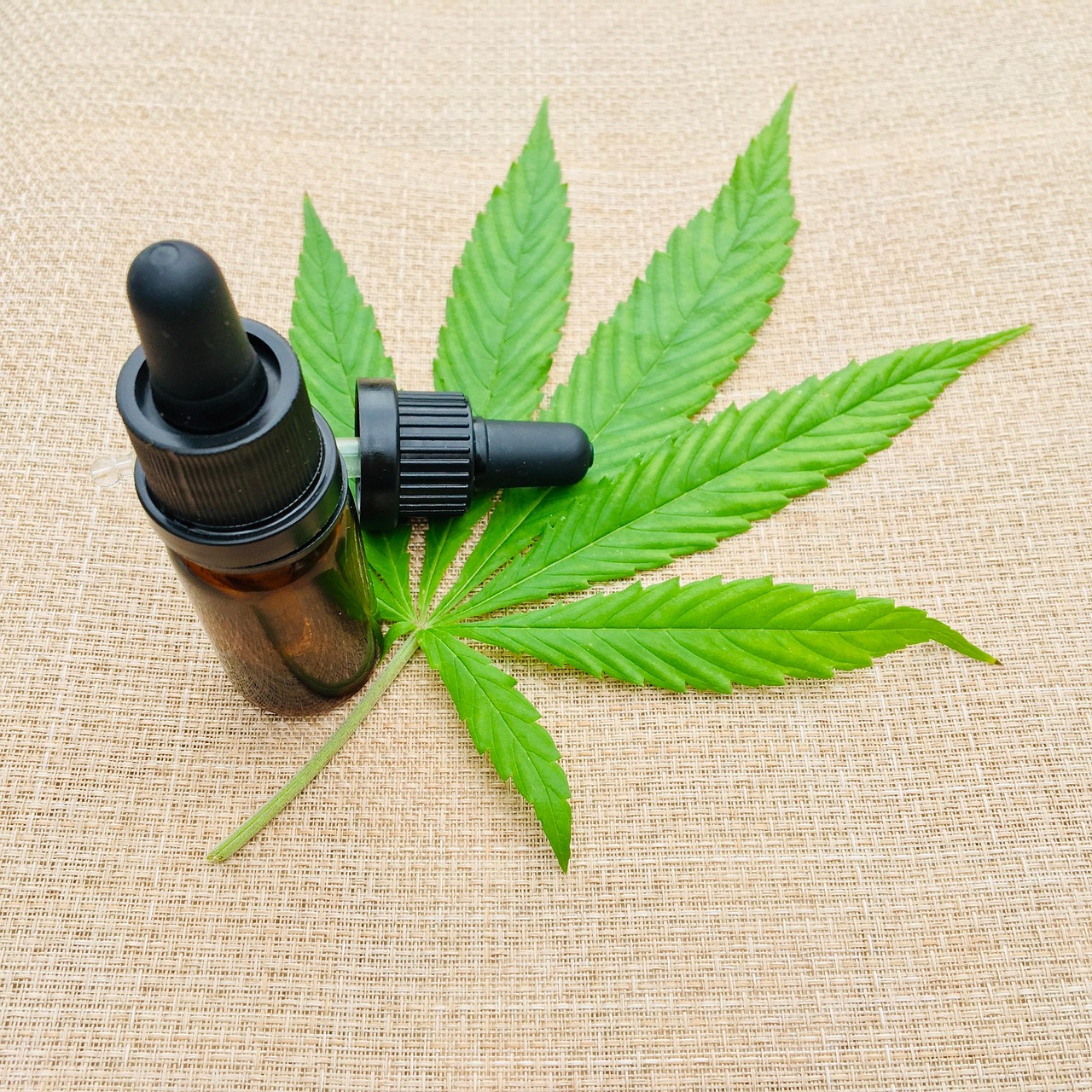 Cosmetici al CBD: perché la skincare alla canapa sta conquistando tutti