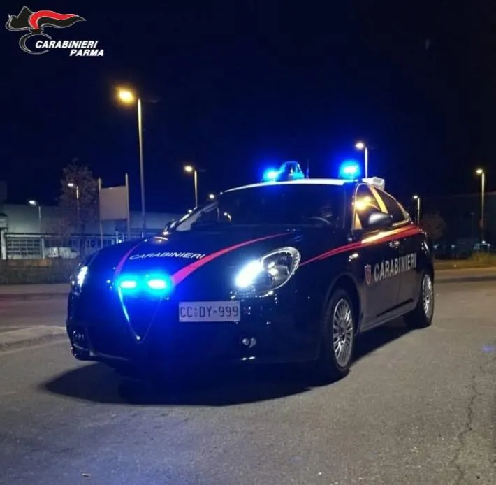 Bozza automatica