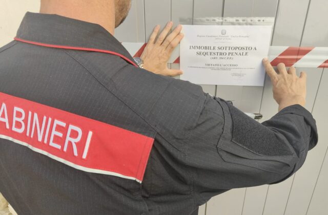 Maxi-operazione contro i combattimenti clandestini tra cani drogati: 12 indagati e 24 pitbull tratti in salvo