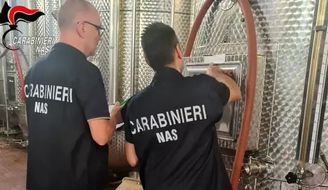 Nas di Parma, controlli nel settore vitivinicolo: sanzionata un’azienda del Parmense