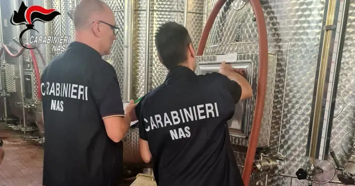 Nas di Parma, controlli nel settore vitivinicolo: sanzionata un’azienda del Parmense
