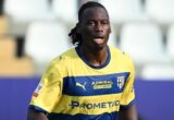 Parma, Elphege operato d’urgenza per appendicite acuta