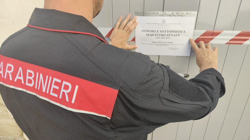 Bozza automatica