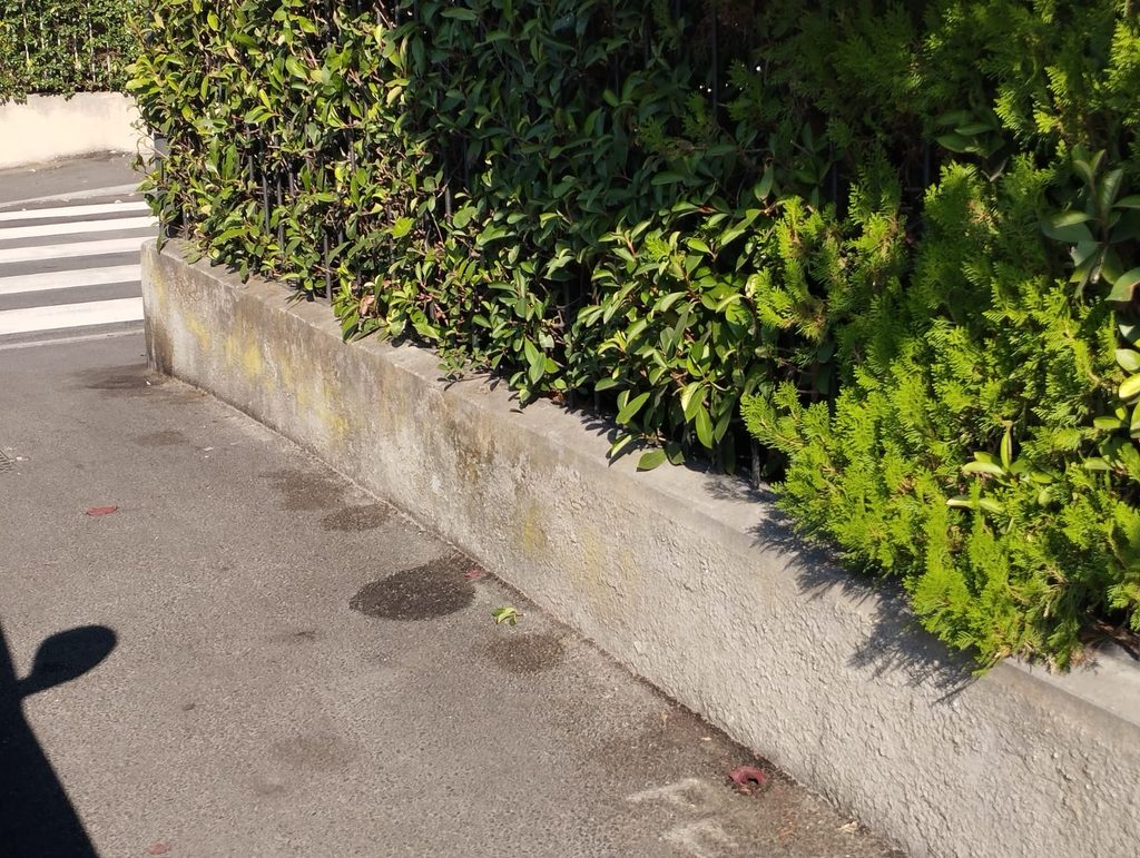Via Imperia – Latrina per cani del San Leonardo e non solo