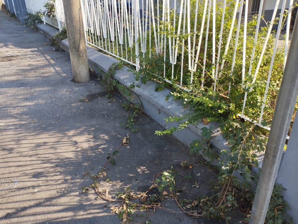 Via Imperia – Latrina per cani del San Leonardo e non solo