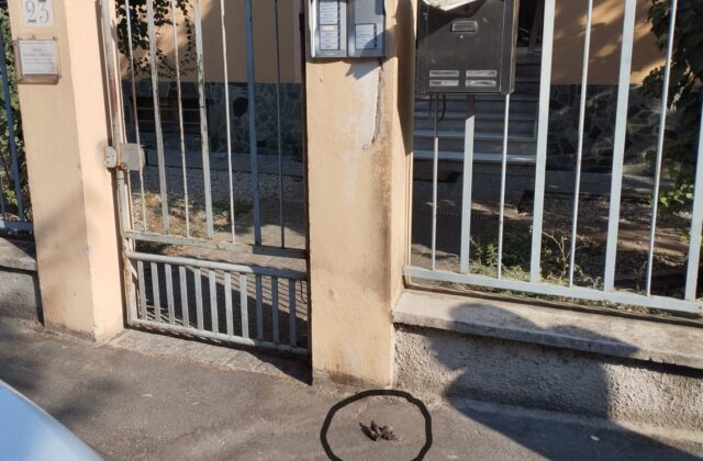 Via Imperia – Latrina per cani del San Leonardo e non solo