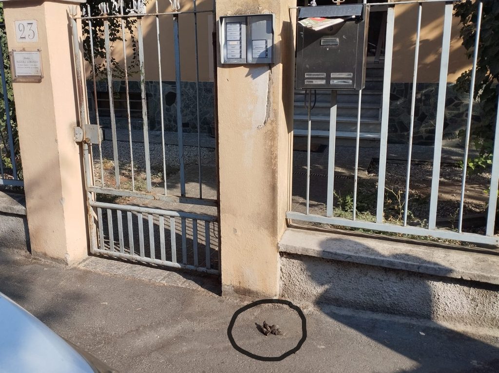 Via Imperia – Latrina per cani del San Leonardo e non solo