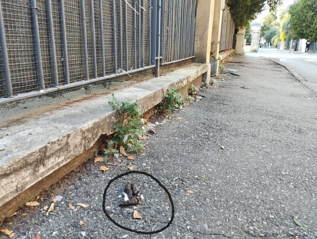 Via Imperia – Latrina per cani del San Leonardo e non solo